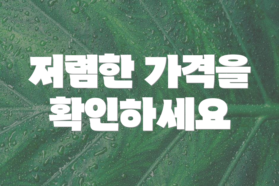 저렴한 가격을 확인하세요