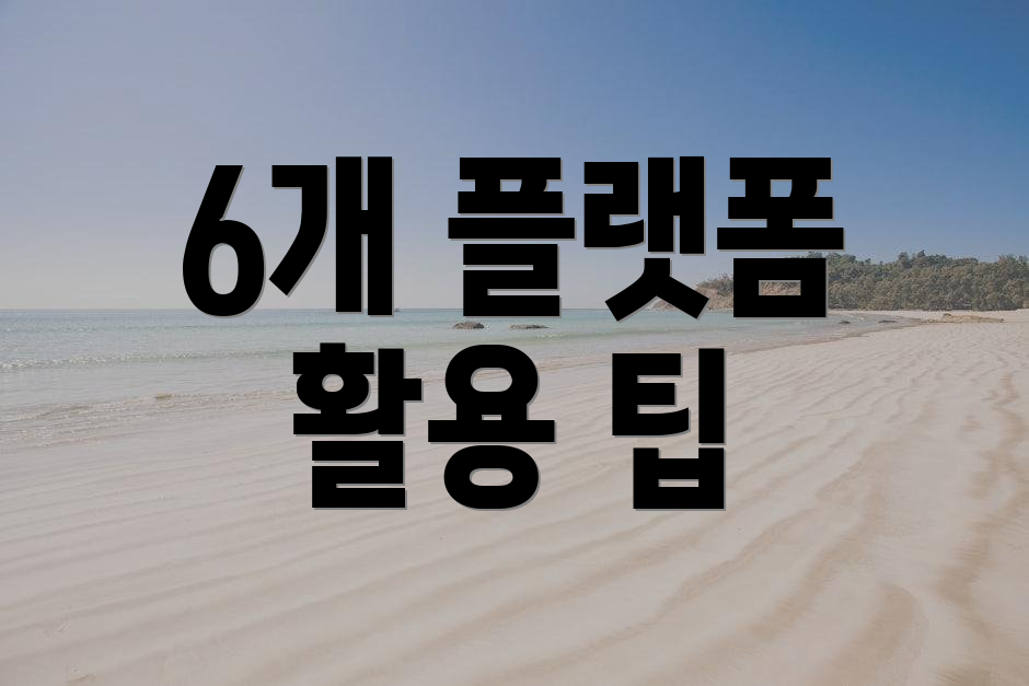 6개 플랫폼 활용 팁