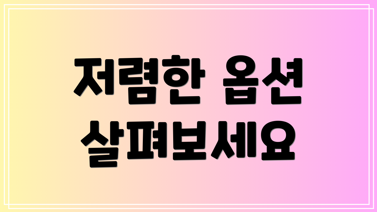 저렴한 옵션 살펴보세요