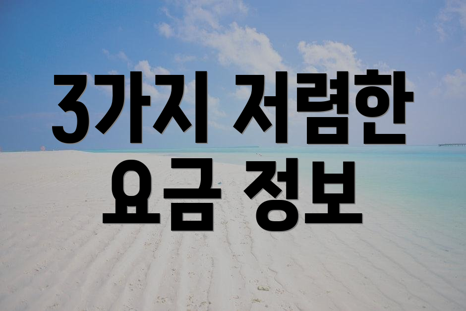 3가지 저렴한 요금 정보