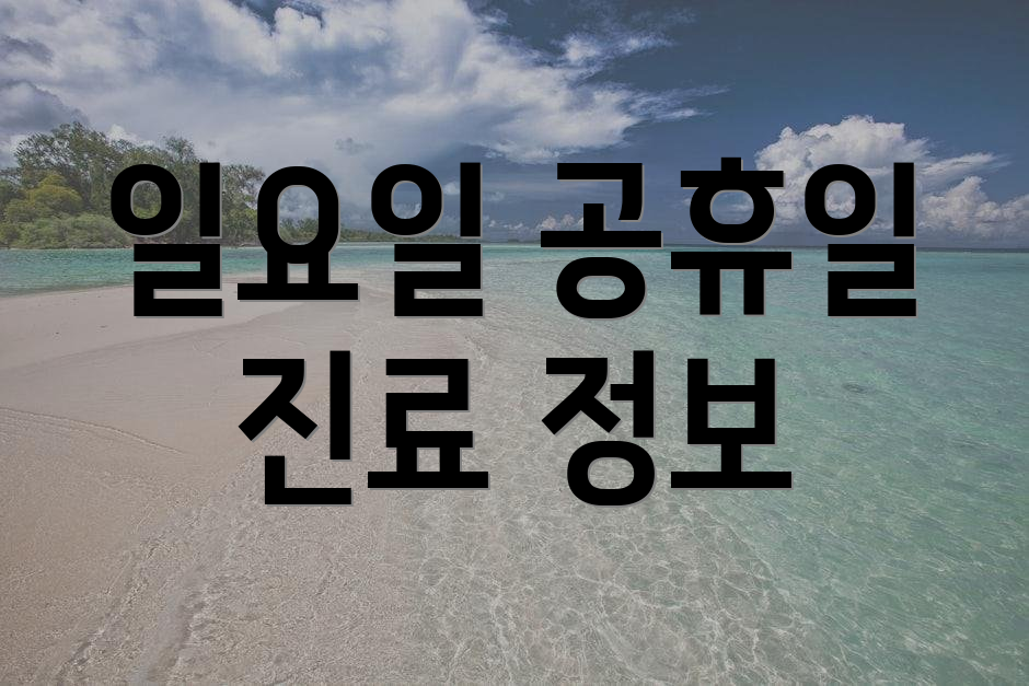 일요일 공휴일 진료 정보