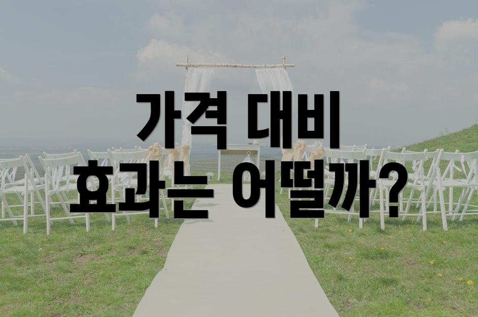 가격 대비 효과는 어떨까?