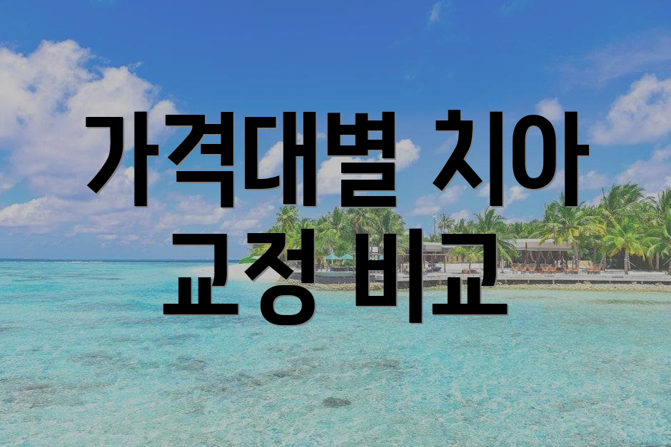 가격대별 치아 교정 비교