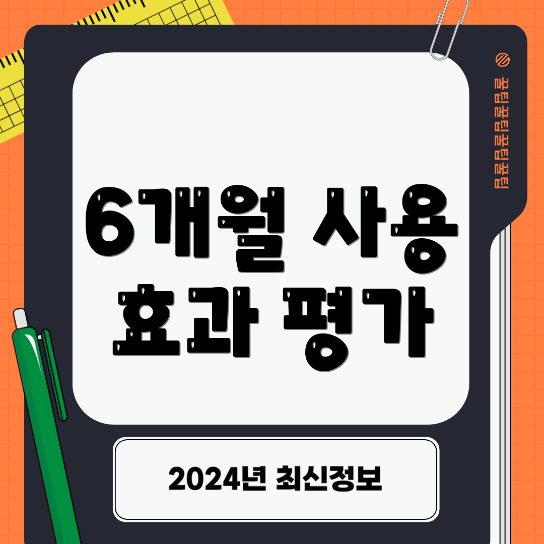 6개월 사용 효과 평가
