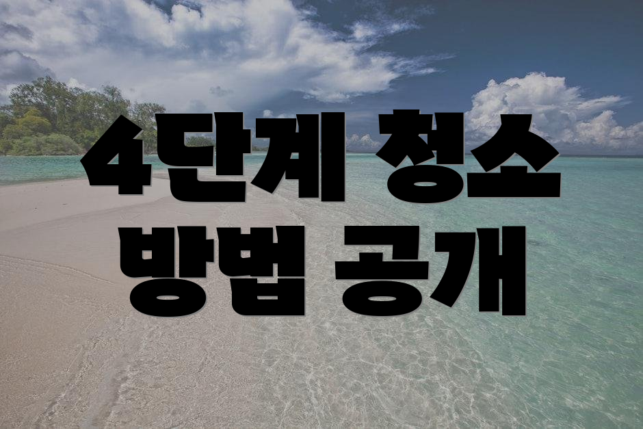 4단계 청소 방법 공개