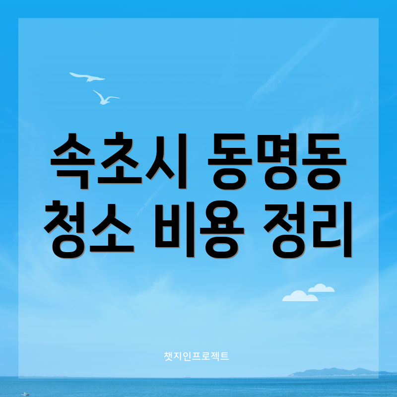 속초시 동명동 청소 비용 정리
