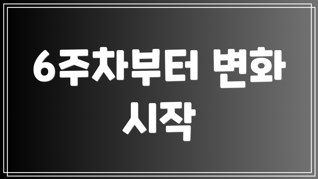 6주차부터 변화 시작