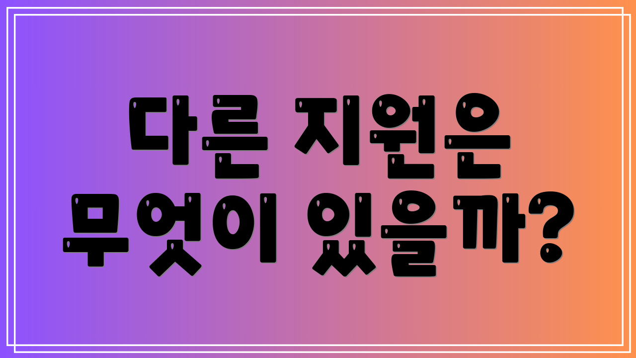 다른 지원은 무엇이 있을까?