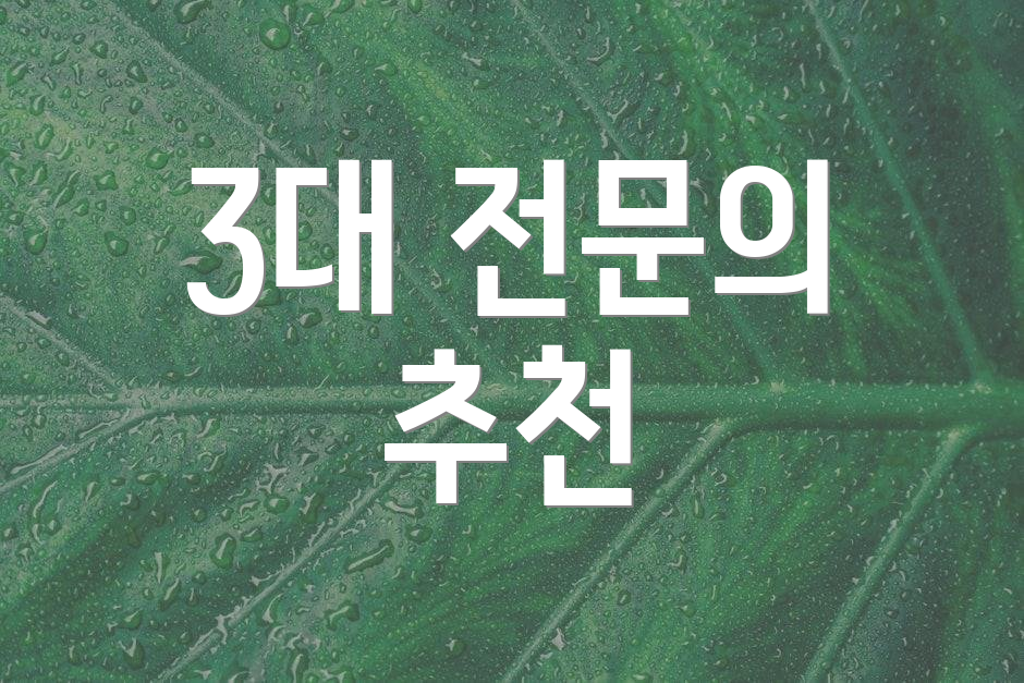 3대 전문의 추천