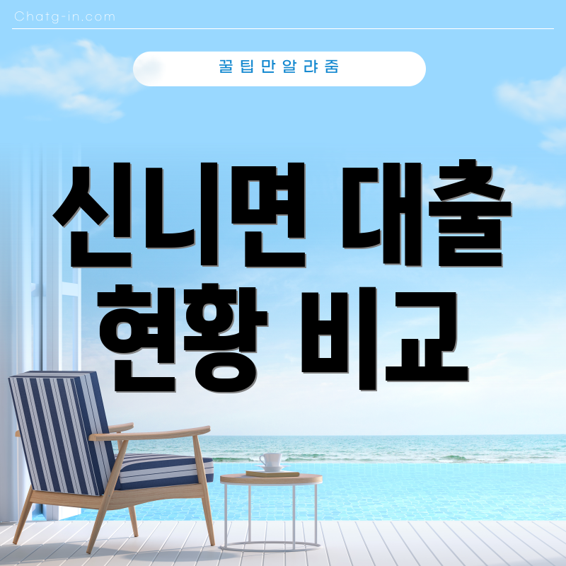 신니면 대출 현황 비교