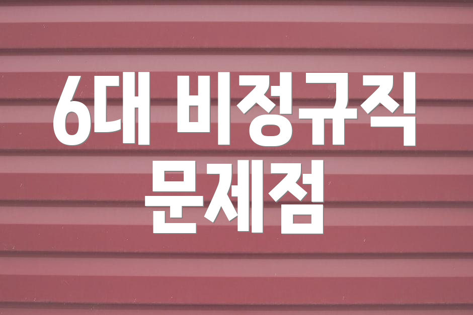6대 비정규직 문제점