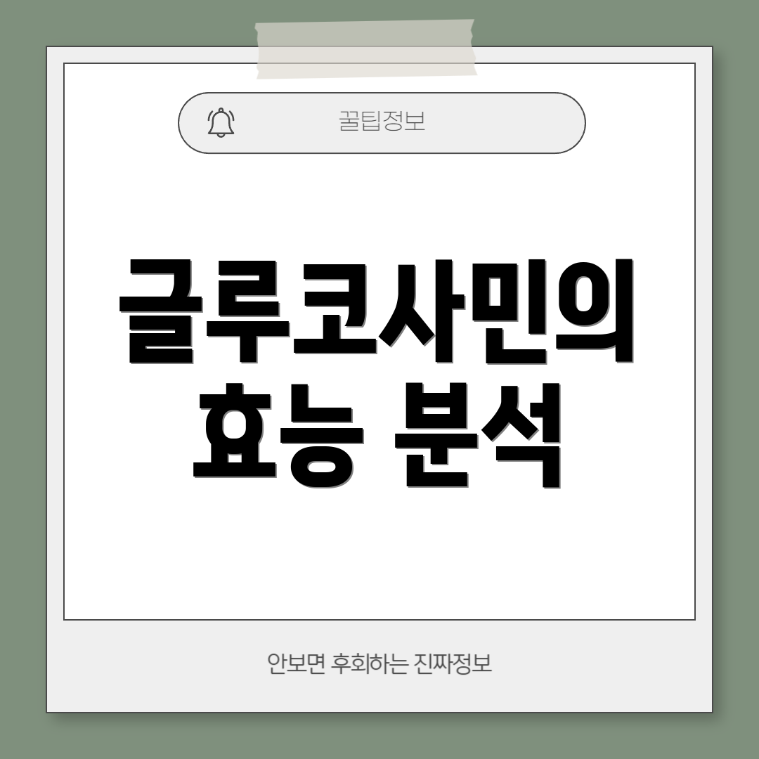 글루코사민의 효능 분석