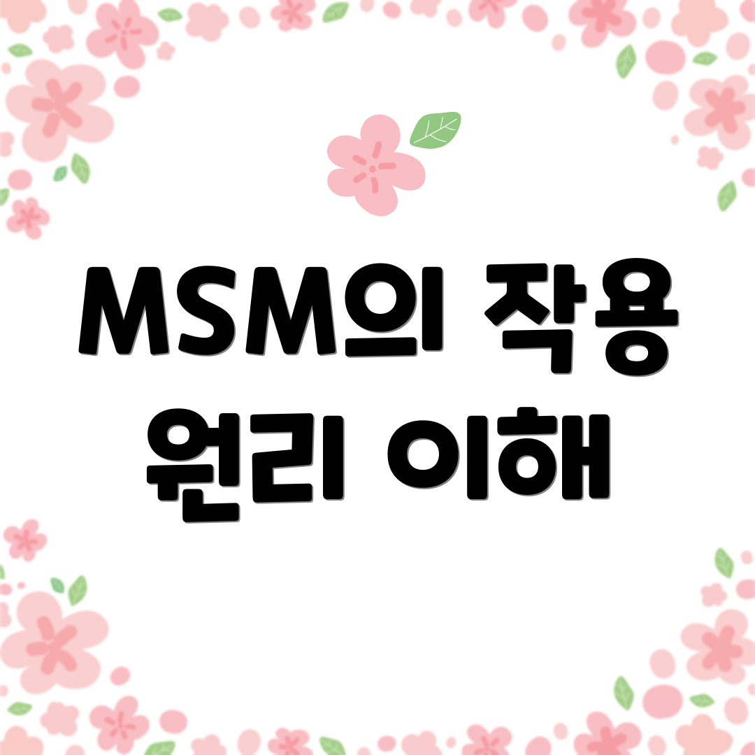 MSM의 작용 원리 이해