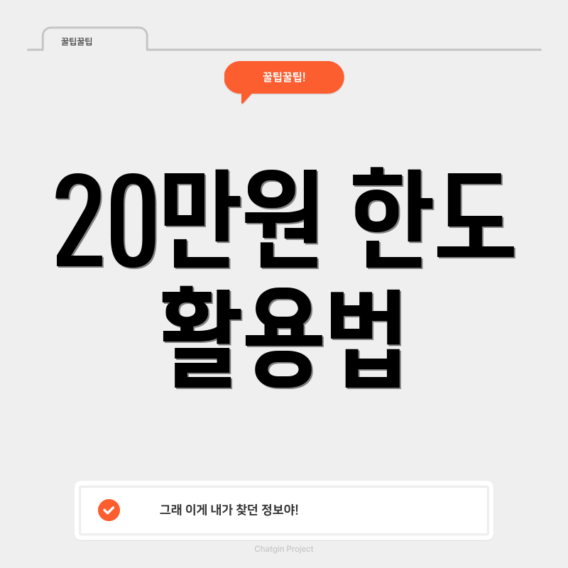 20만원 한도 활용법