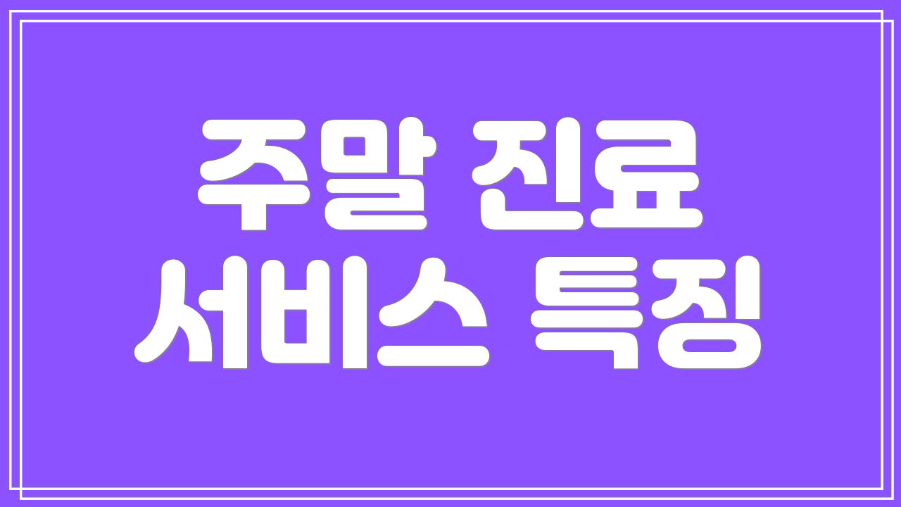주말 진료 서비스 특징