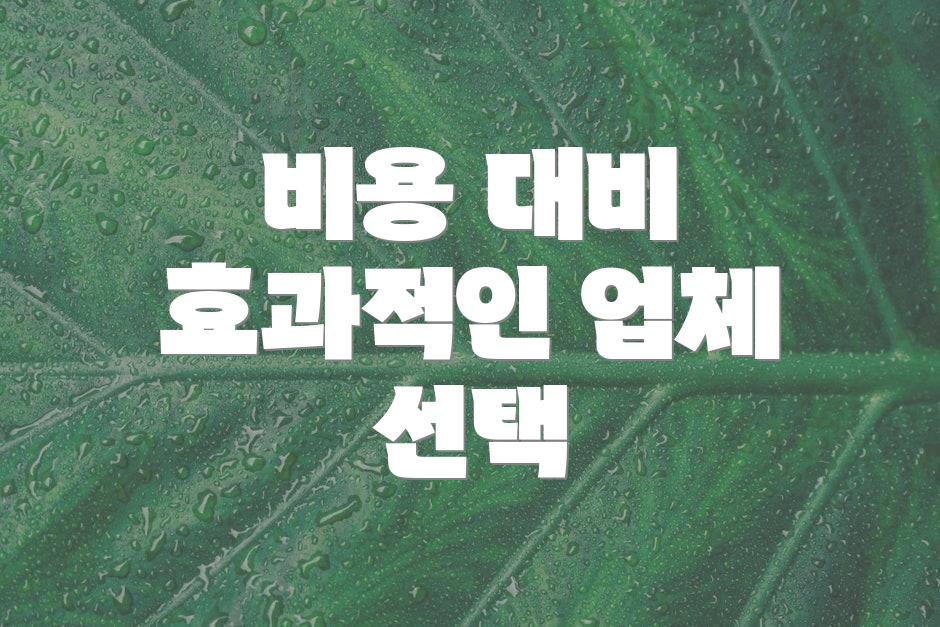 비용 대비 효과적인 업체 선택