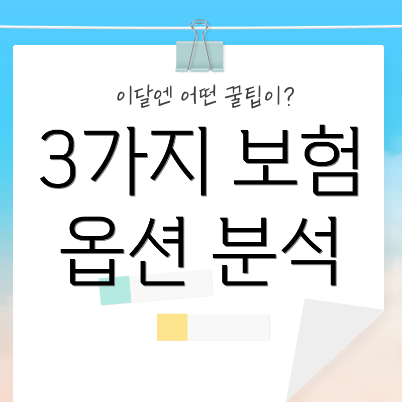 3가지 보험 옵션 분석
