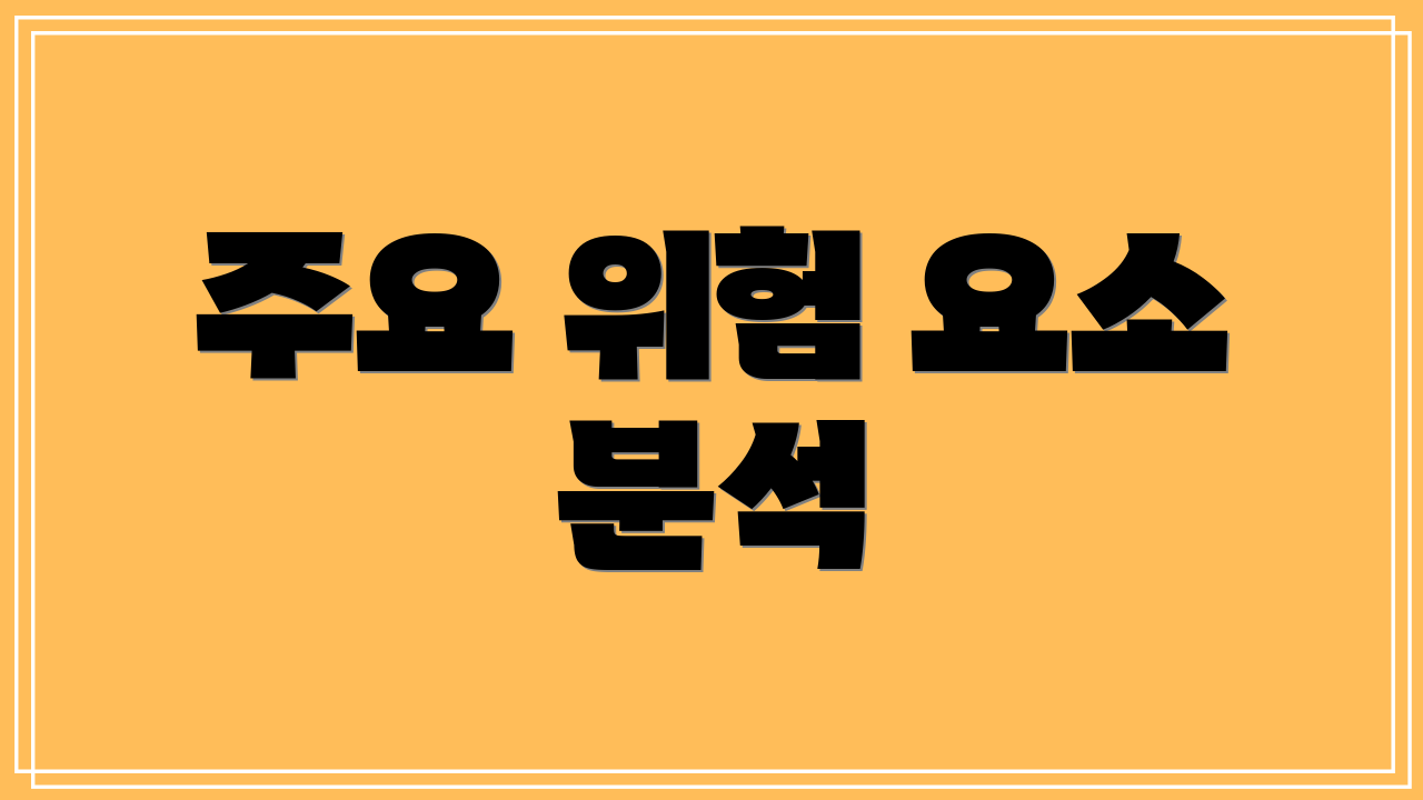 주요 위험 요소 분석