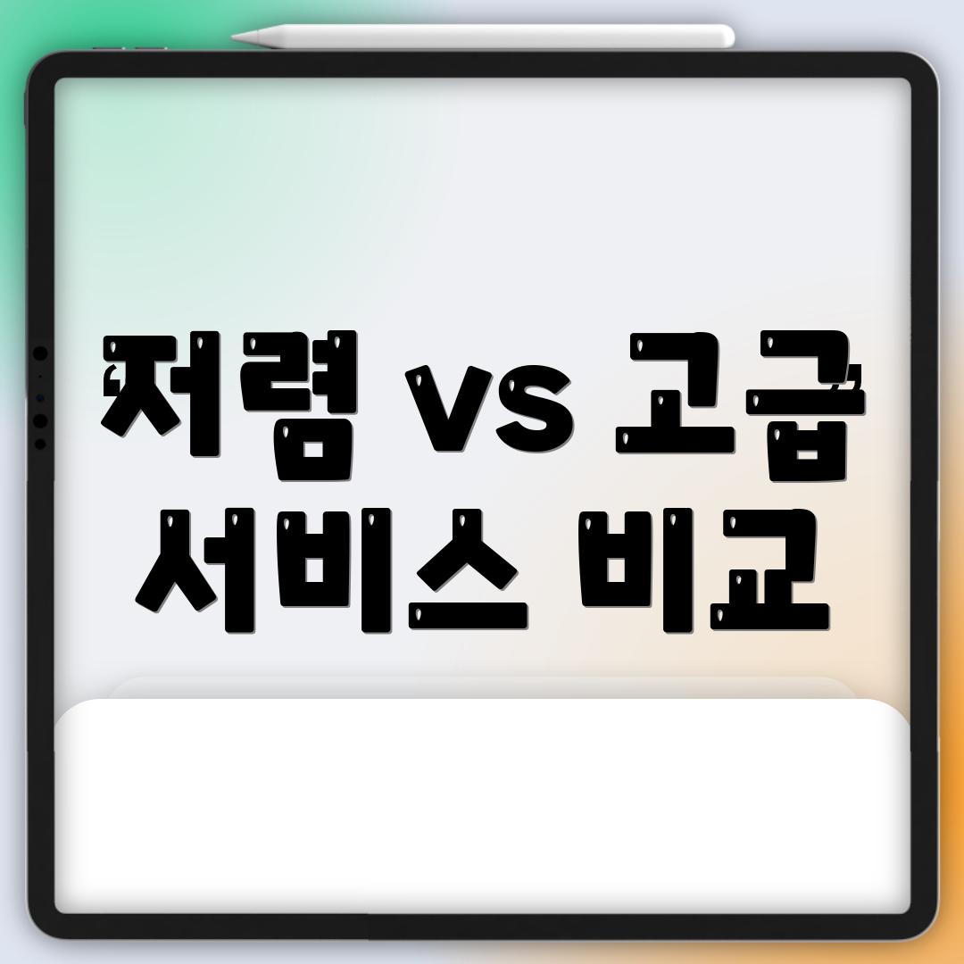 저렴 vs 고급 서비스 비교