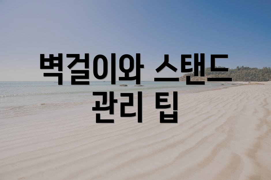 벽걸이와 스탠드 관리 팁