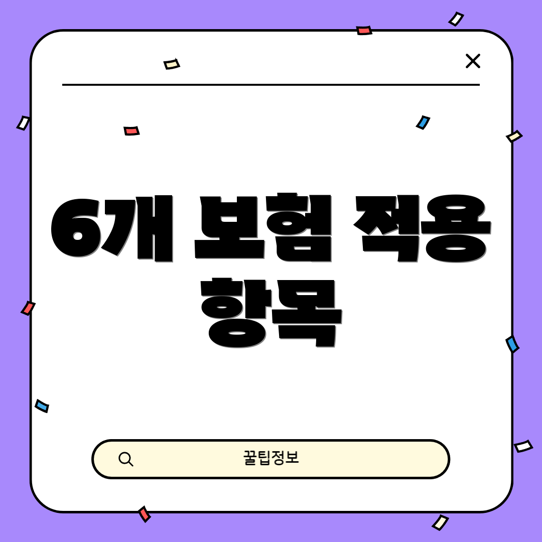 6개 보험 적용 항목