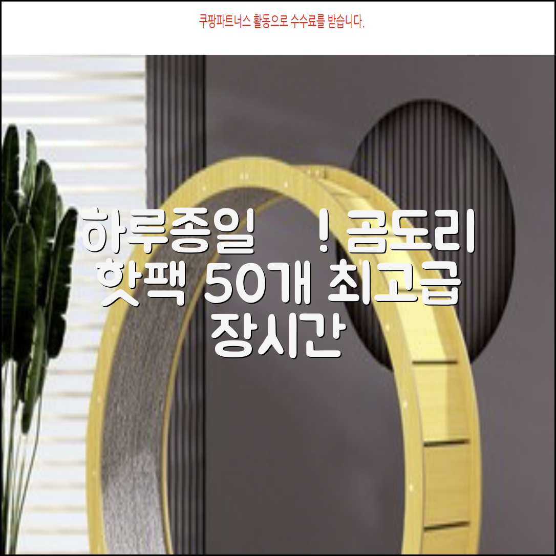 곰도리 하루종일 촥~ 붙이는 핫팩 장시간 고급형, 50개 추천 리뷰