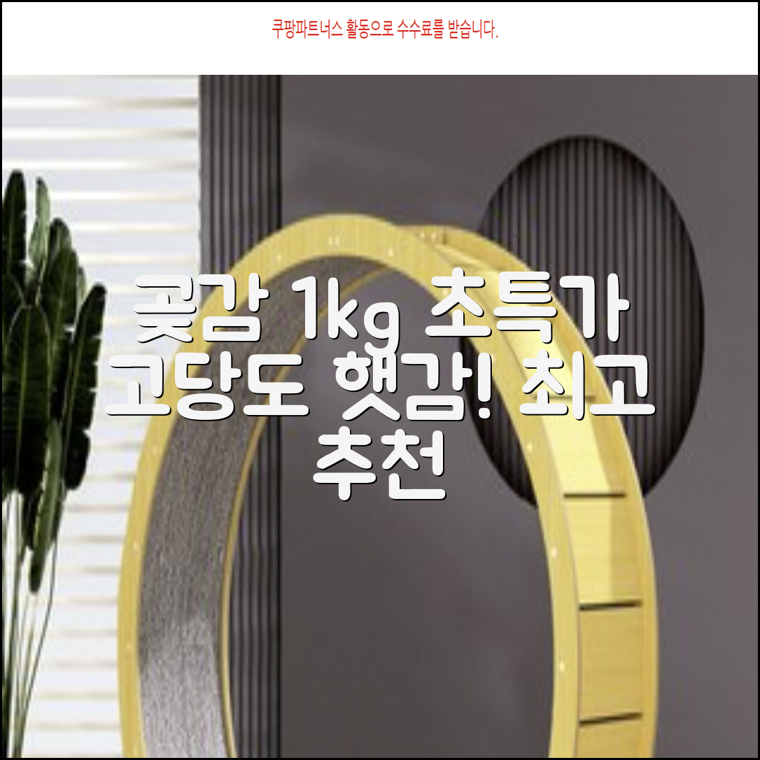 상주 곶감 초특가 1kg 고당도 햇감, 1개 추천 리뷰