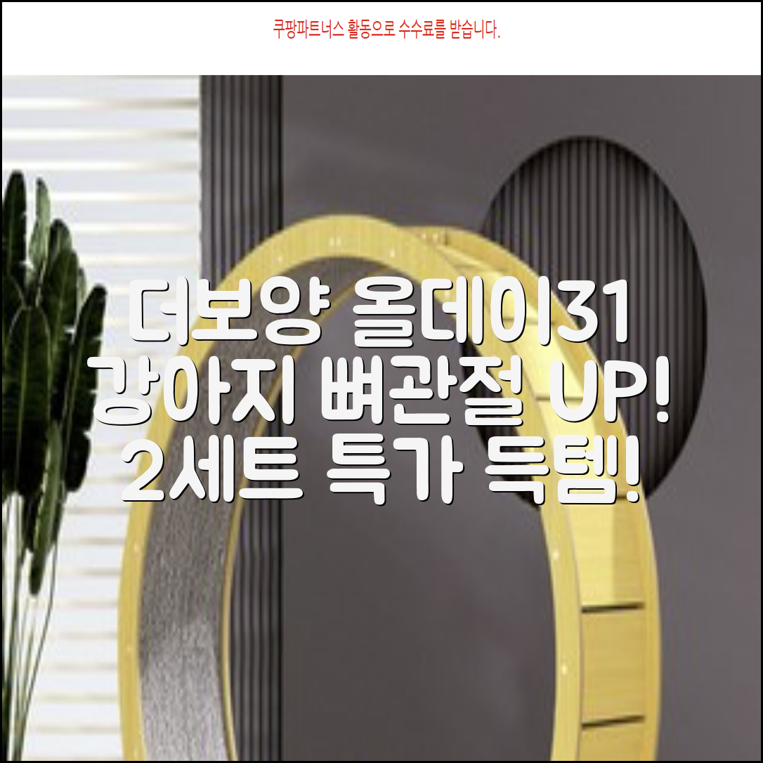 더보양 올데이31 강아지 영양제, 160정, 뼈/관절강화, 2세트 추천 리뷰