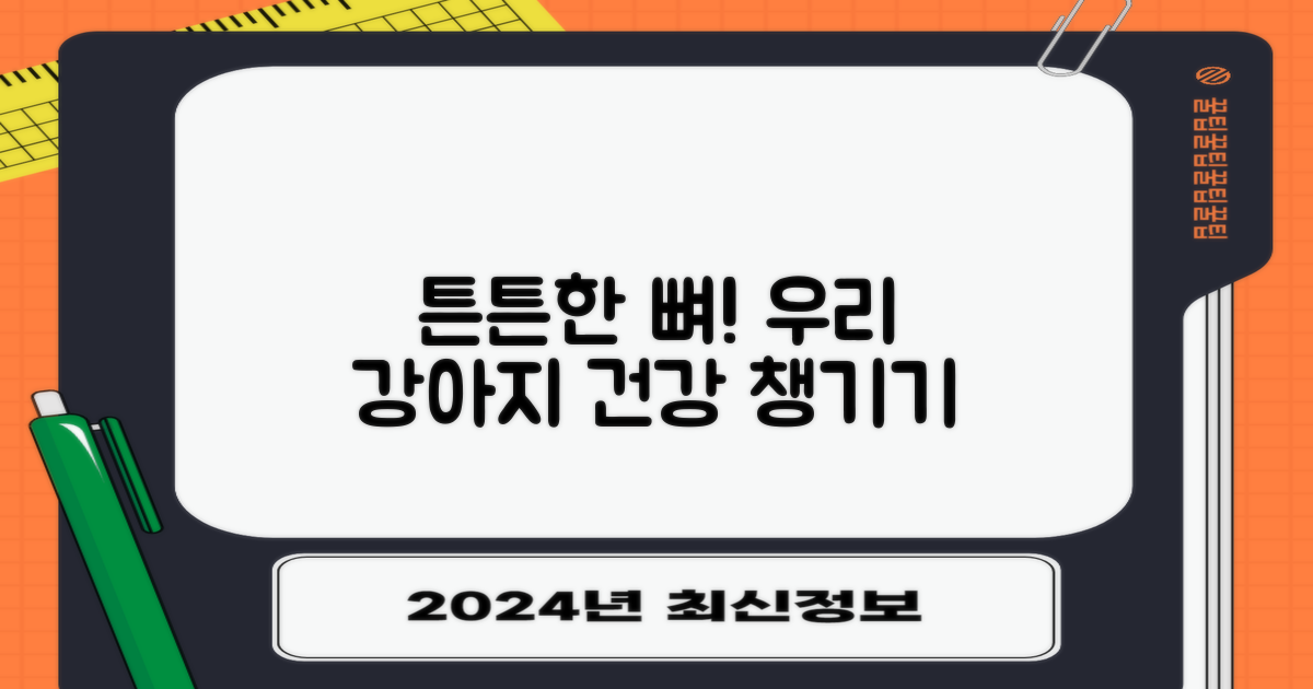 우리 강아지 뼈 건강 챙기기