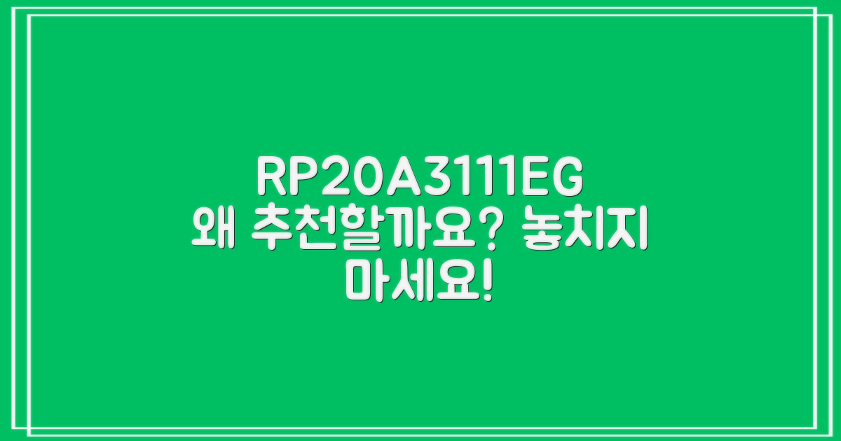 RP20A3111EG, 왜 추천할까요?