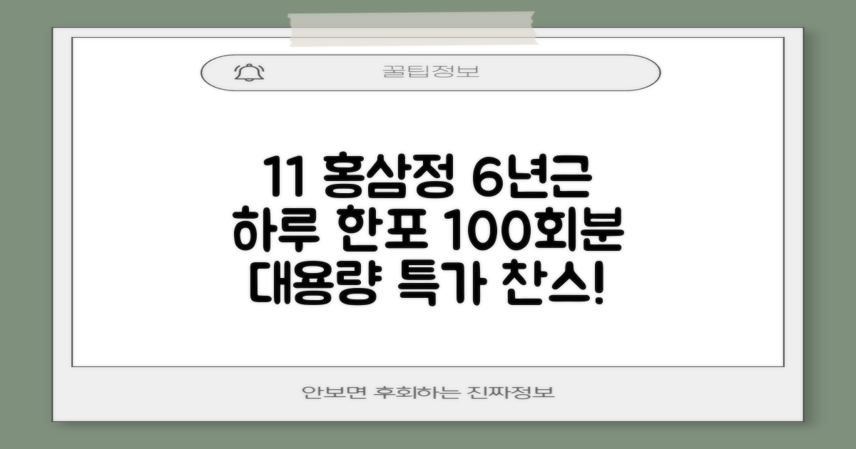 [1+1 특가] 홍삼정 6년근 하루한포 100회분 대용량+쇼핑백, 2개, 1L 추천 리뷰