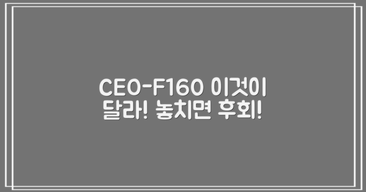 CEO-F160, 이런 점이 달라요