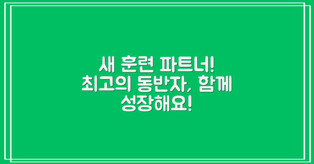 훈련 파트너를 만나세요