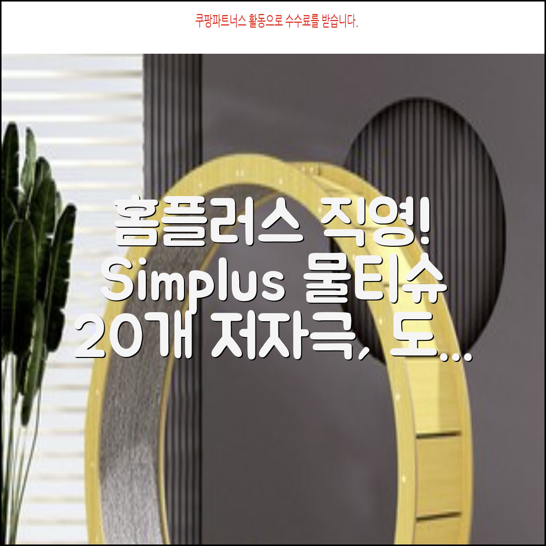 홈플러스 공식 본사 직영 simplus 도톰한 물티슈 캡형 저자극 심플러스 시그니처, 110매입, 20개 추천 리뷰