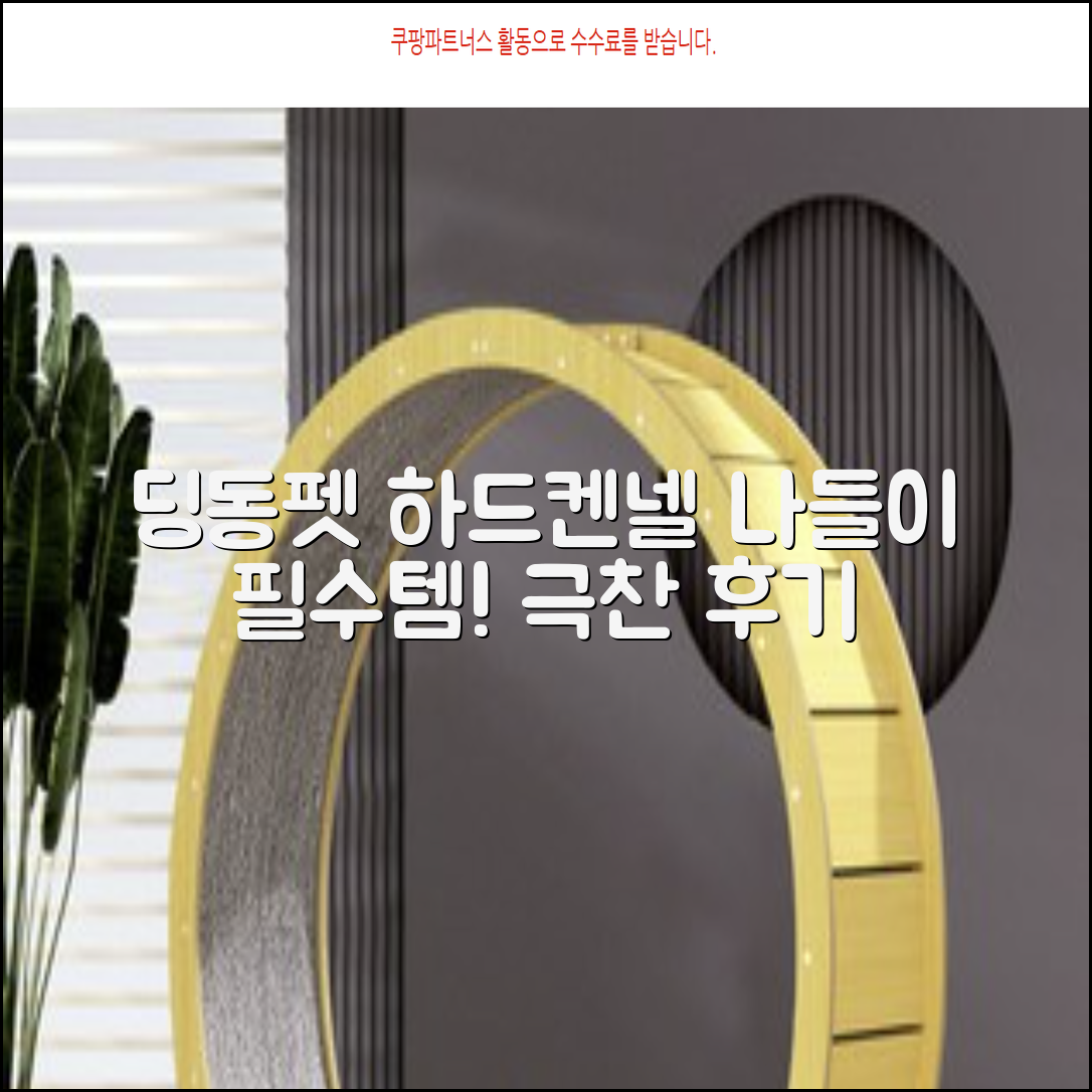 딩동펫 반려동물 나들이 하드켄넬, 그레이, 1개 추천 리뷰