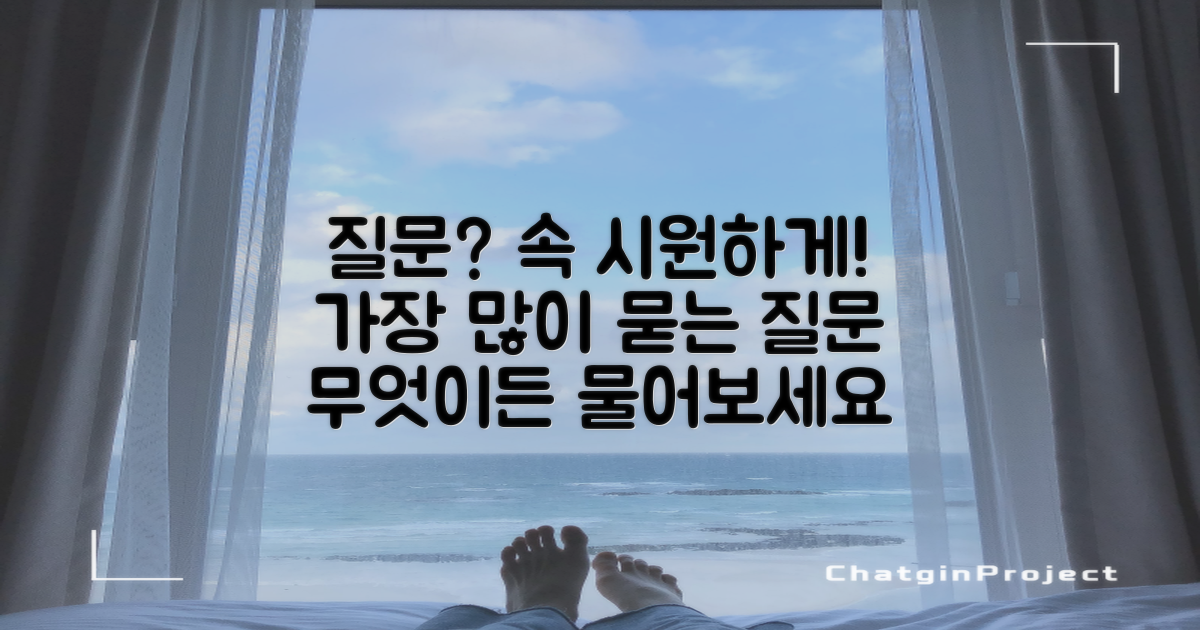 자주 묻는 질문