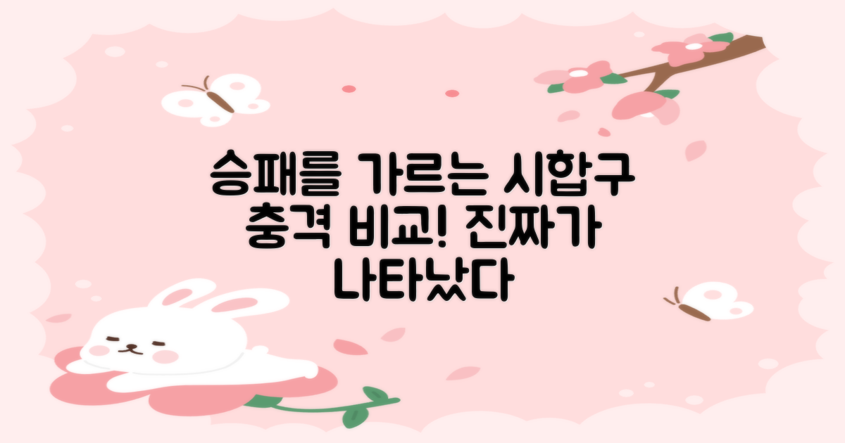 시합구, 얼마나 차이가 날까?