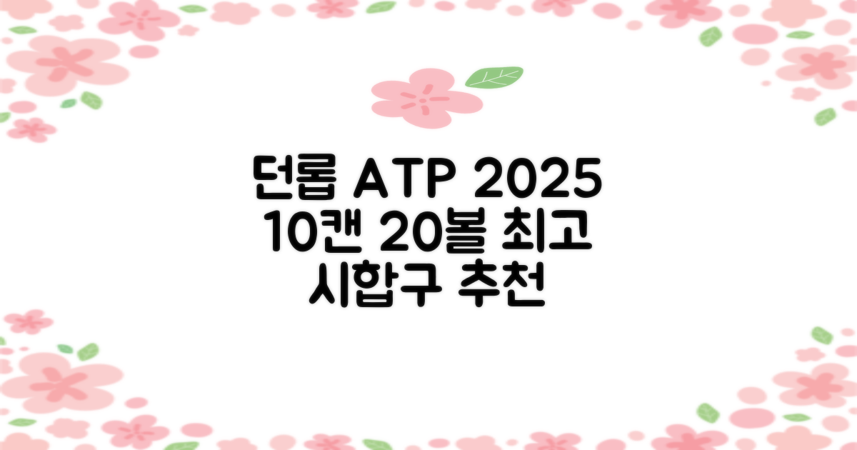 2025 던롭 ATP 테니스공 10캔 (20볼) 시합구, 던롭 ATP볼 10캔 (20볼), 10세트 추천 리뷰