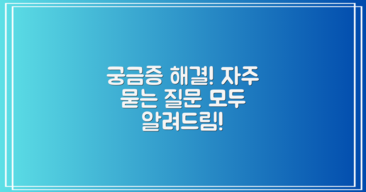 자주 묻는 질문