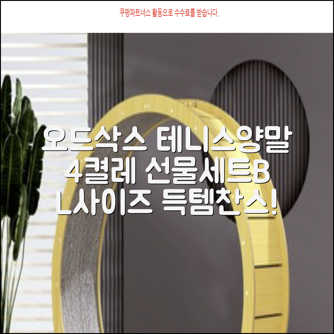 [오드삭스] 테니스 양말 세트B 4켤레 선물용, L(255mm-275mm), 1개 추천 리뷰