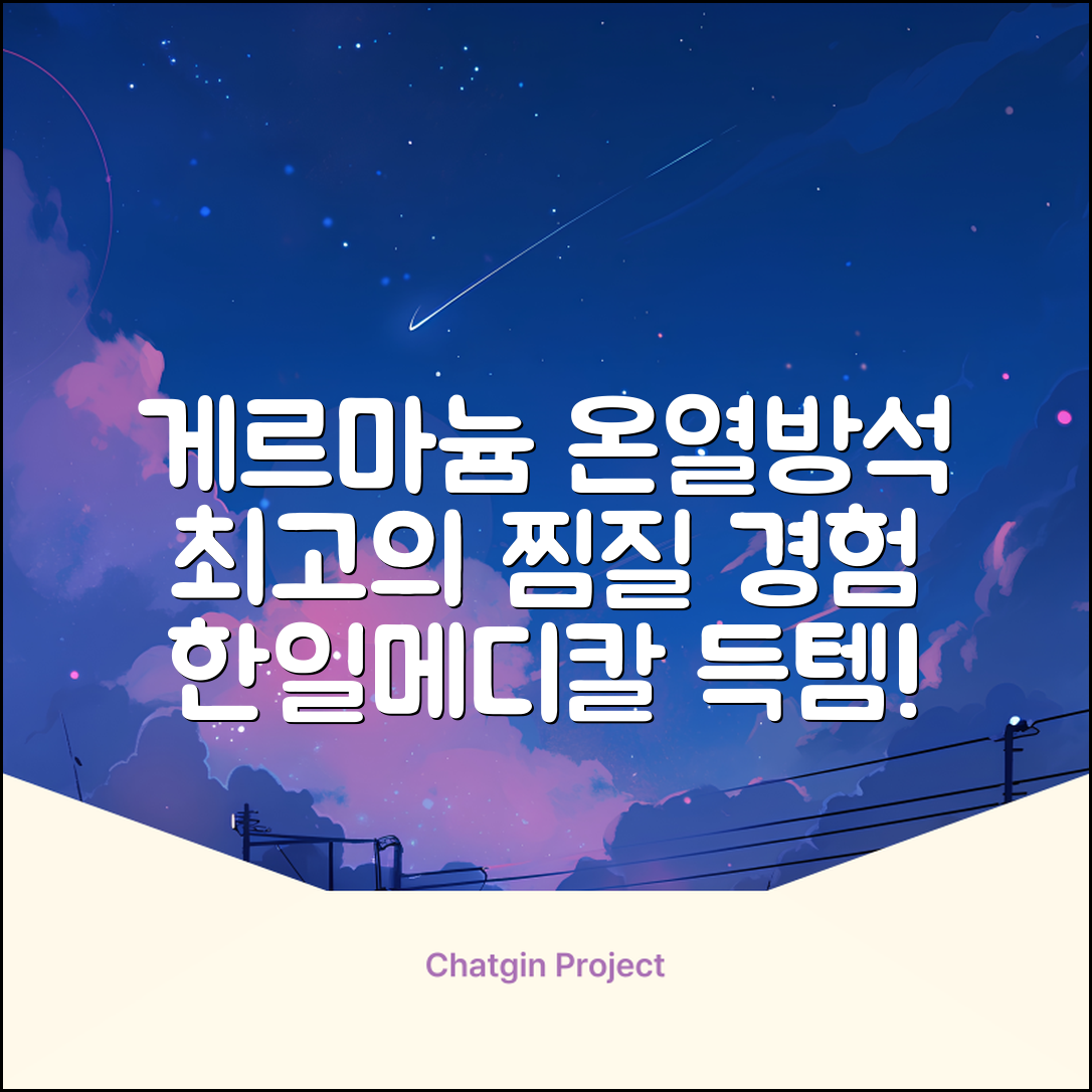 한일메디칼 GERMANIUM 게르마늄 온열 건강방석, 1인용 48X48mm, 1개 추천 리뷰