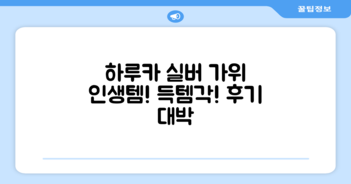 하루카 미용가위 세트, 실버, 1개 추천 리뷰