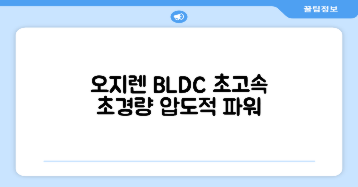 오지렌 초고속 고출력 초경량 음이온 BLDC 모터 헤어 드라이기, 화이트 추천 리뷰