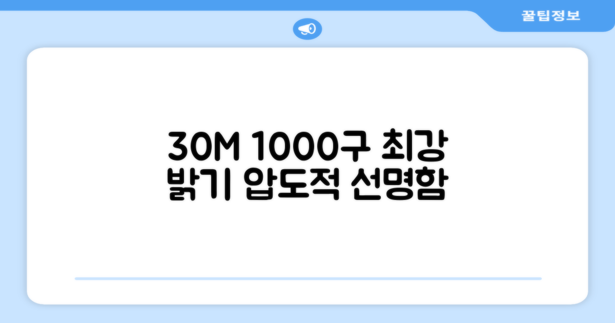 30M 1000구 밝기