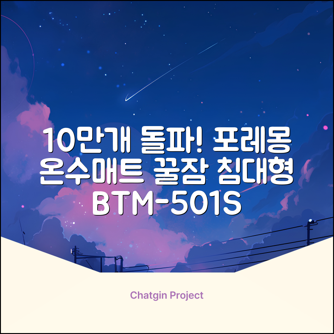 [10만개 판매돌파] 포레몽 온수매트 침대형 BTM-501S, 미니(800x1800mm) 추천 리뷰