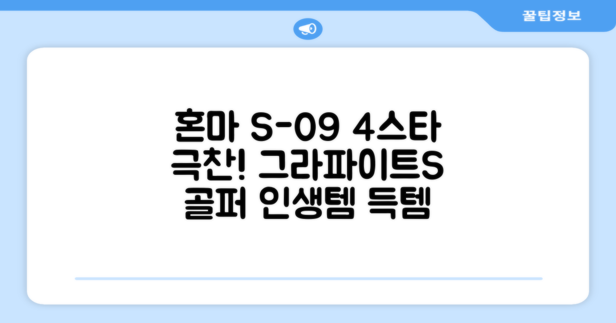 혼마아이언세트 남자아이언세트 S-09 혼마아이언 4스타 4/5/6/7/8/9/10/11/A/S 아이언커버 포함, 그라파이트S 추천 리뷰