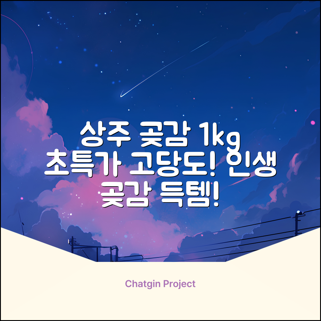 상주 곶감 초특가 1kg 고당도 햇감, 1개 추천 리뷰