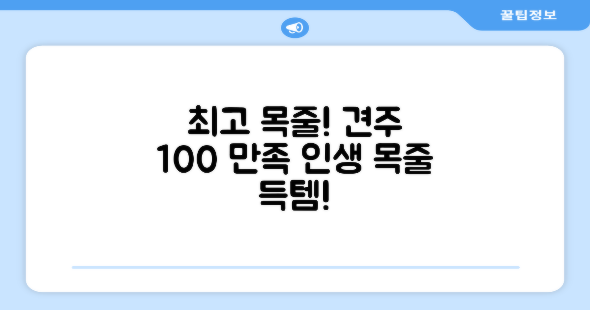 만족도 높은 목줄 추천