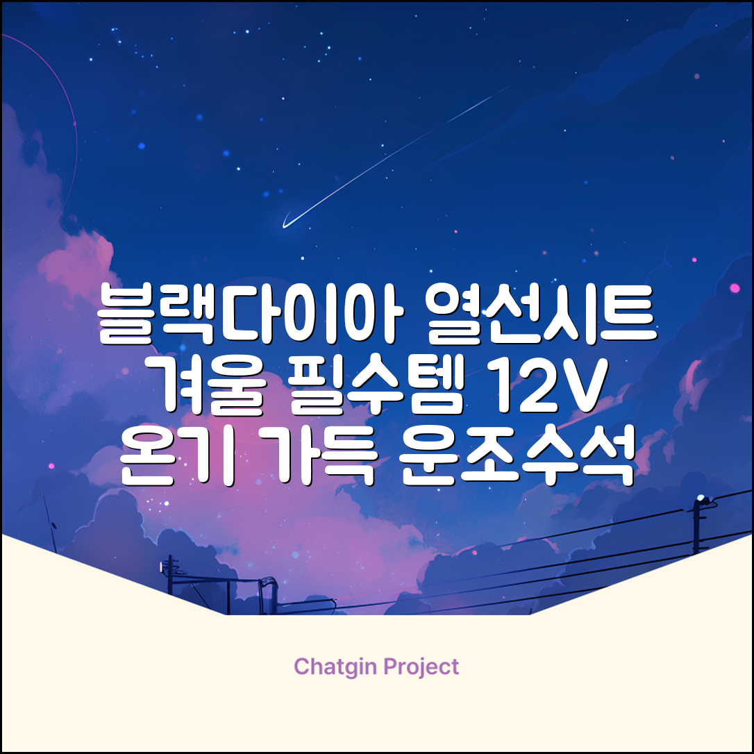 블랙다이아 차량용 열선시트 (1P) 털 겨울 히팅 전기시트, 1개, 12V (운전/조수석) 추천 리뷰