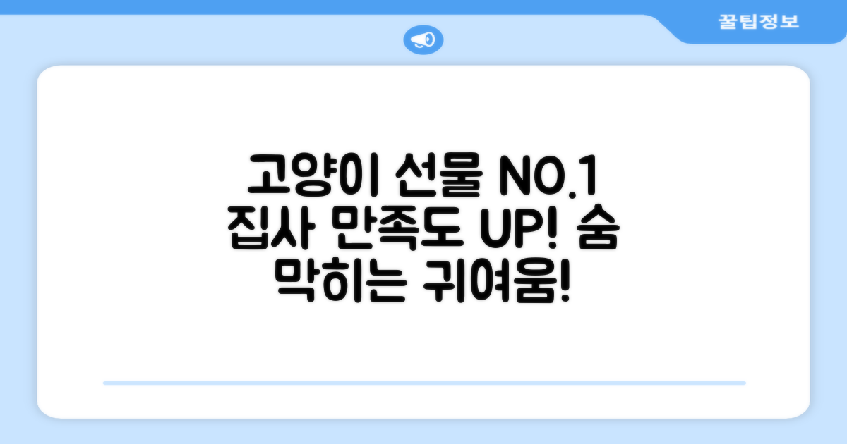 만족도 높은 고양이 선물 추천